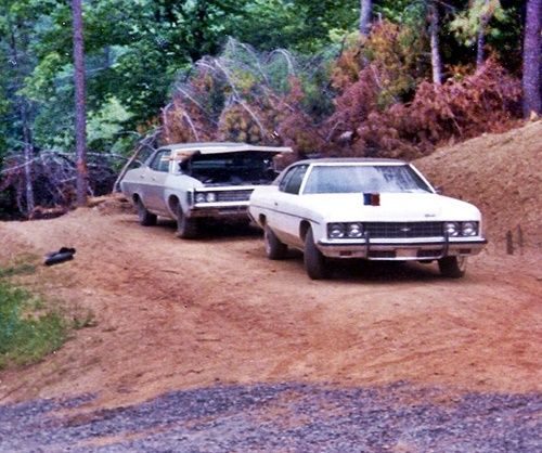 Paps-1973-white-impala