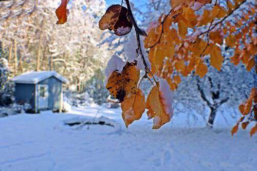 winter-activities-in-Appalachia