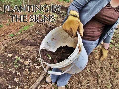 directions for planting by the signs