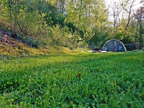 greening-up-in-Appalachia