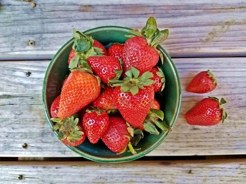 Strawberries in a bowl