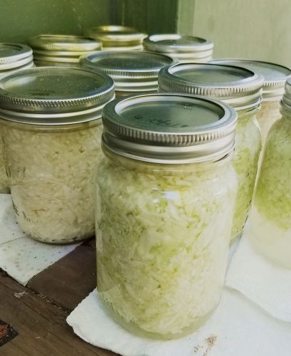 jars of kraut sitting on porch