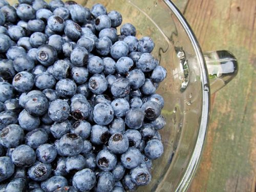 bowl of blueberries