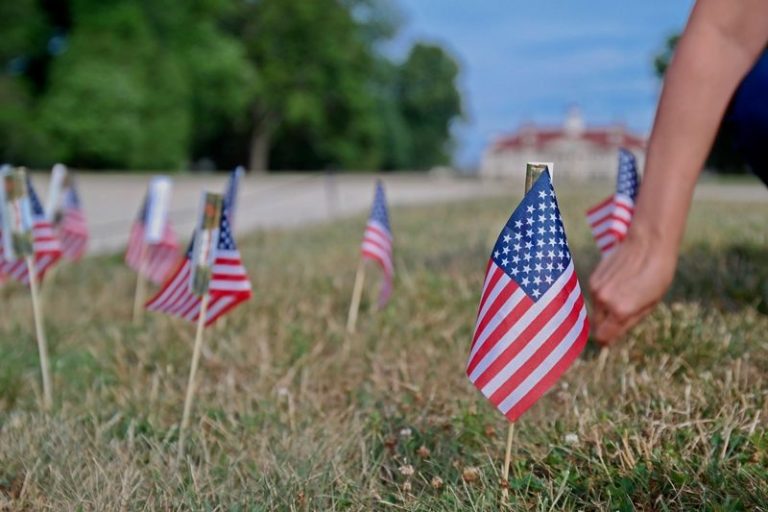 field of small flags