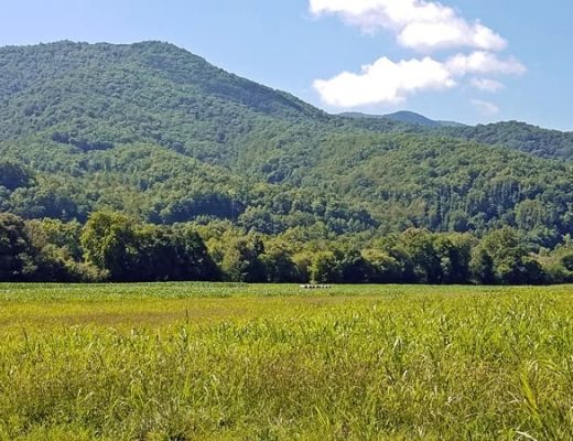 mountains in swain county nc
