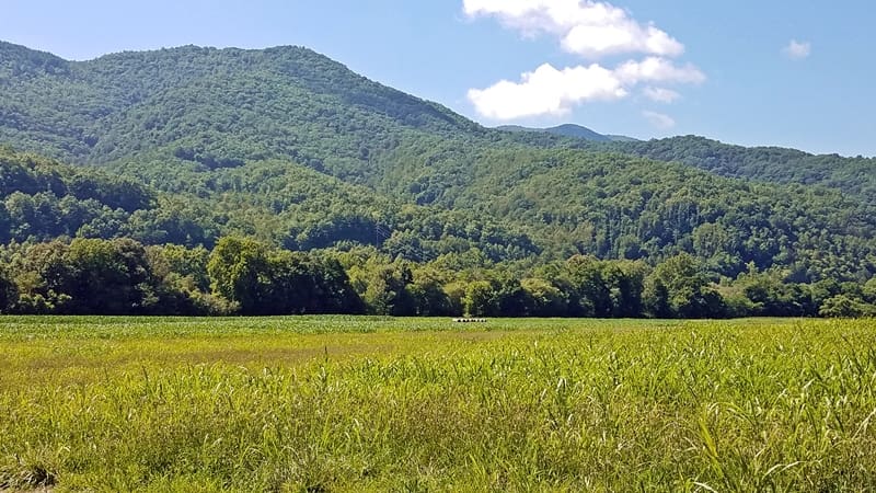 mountains in swain county nc