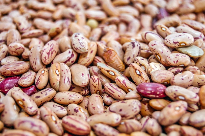 dried beans