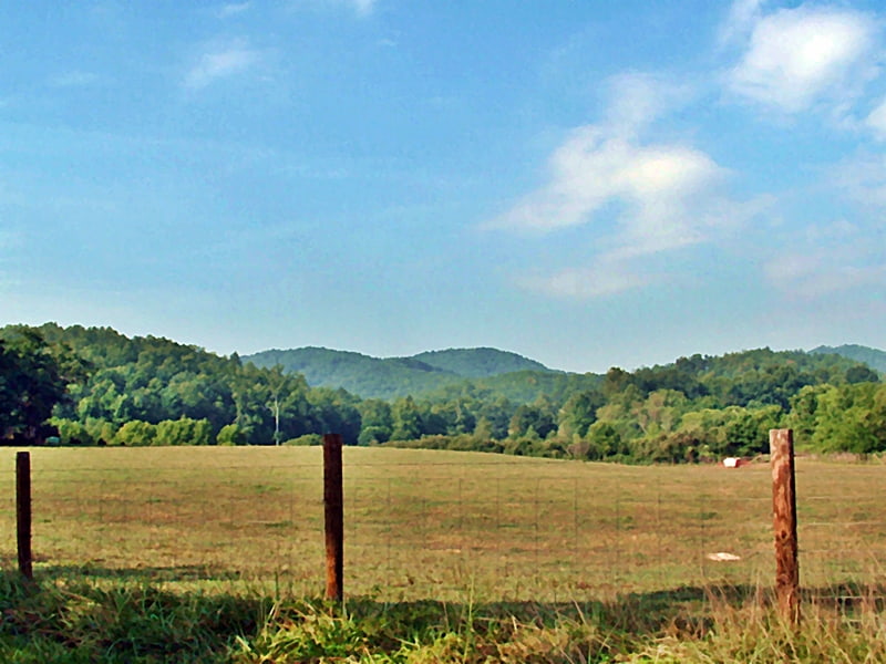 mountains across a cow pasture