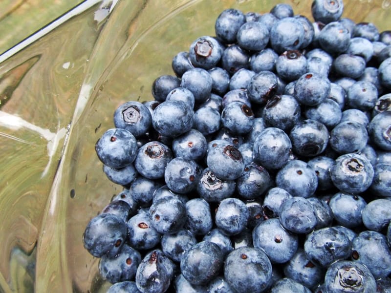 bow of blueberries