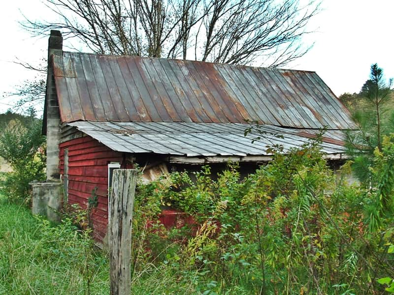 old red house with bushes grown up around it