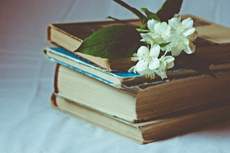 stack of books with a flower on top