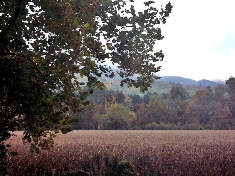 fall colored mountains