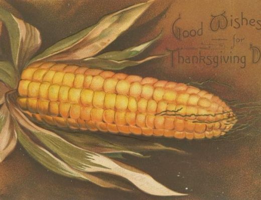 old postcard of an ear of corn