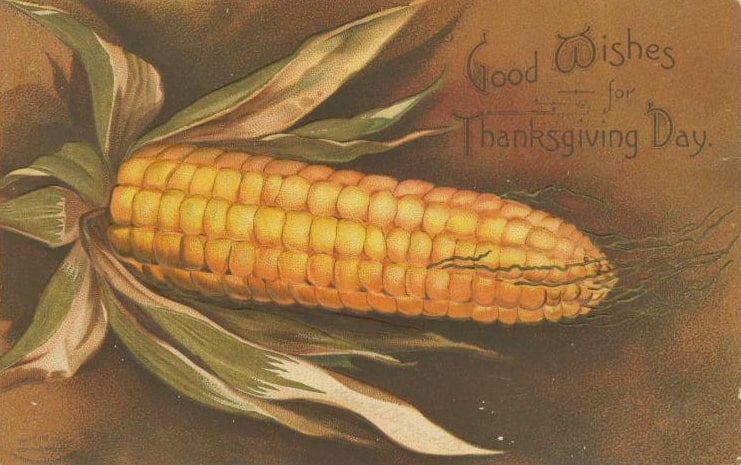 old postcard of an ear of corn