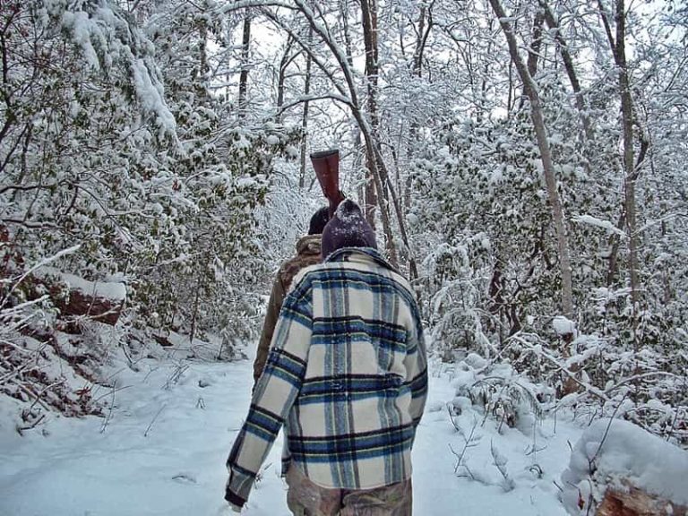 three people walking in the snowy woods