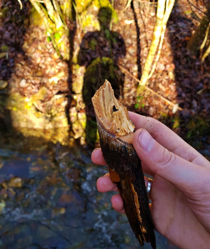 hand holding stick