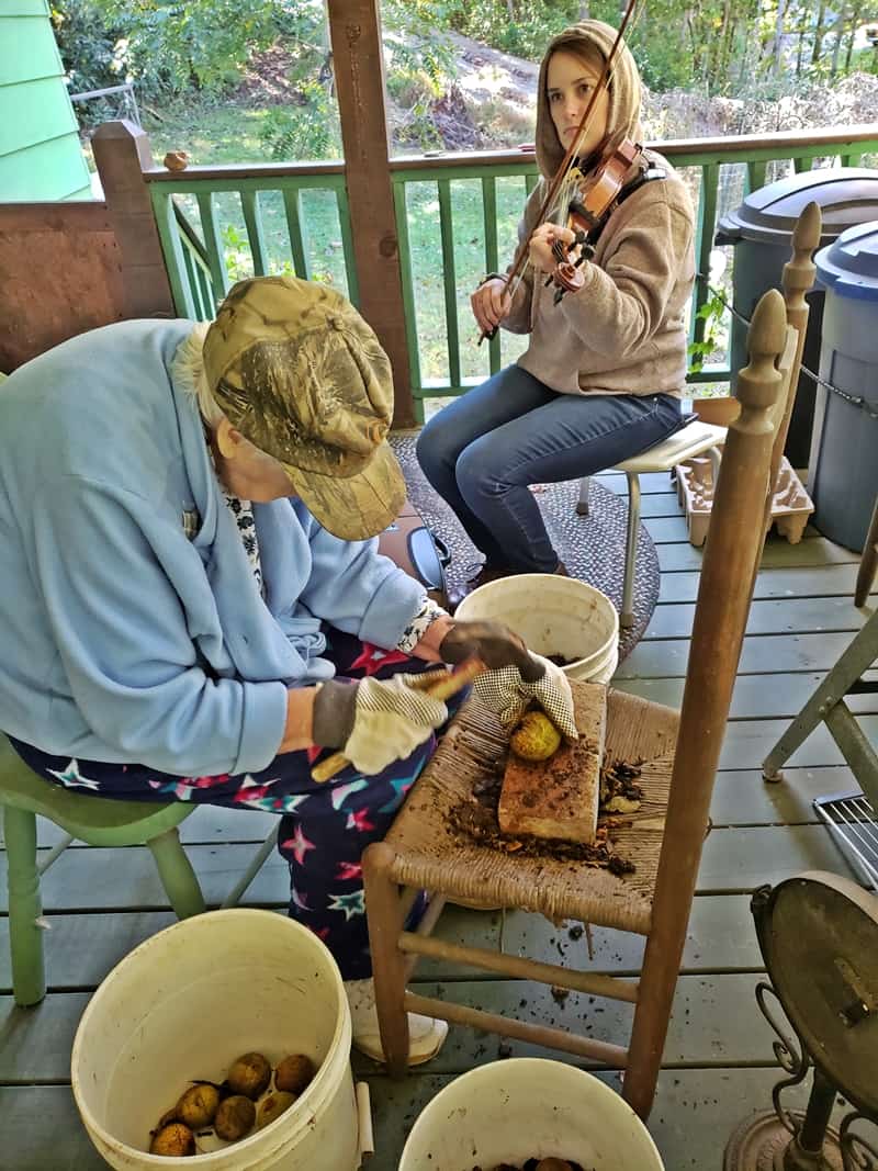 girl playing fiddle old woman working on black walnuts
