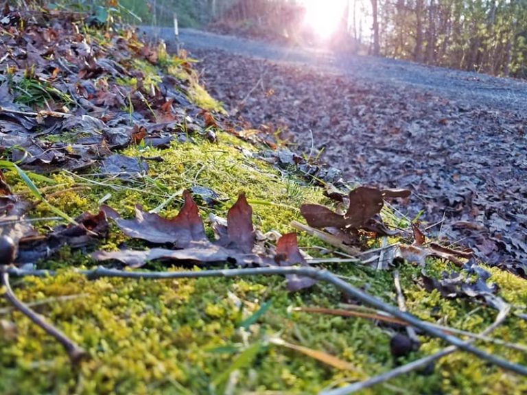 sun coming up over the hill