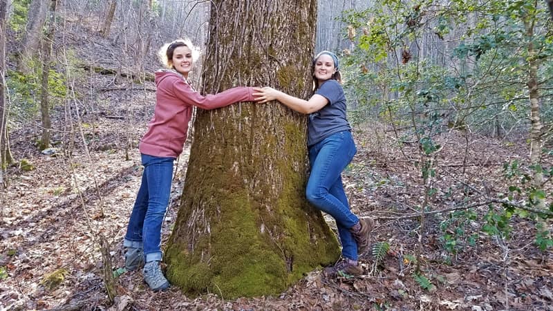 large hickory tree with two girls hugging it