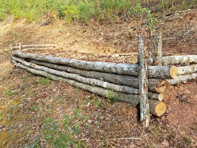 raised bed on bank