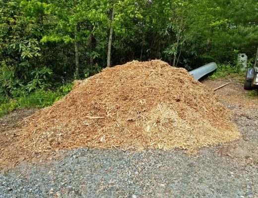 pile of wood chips