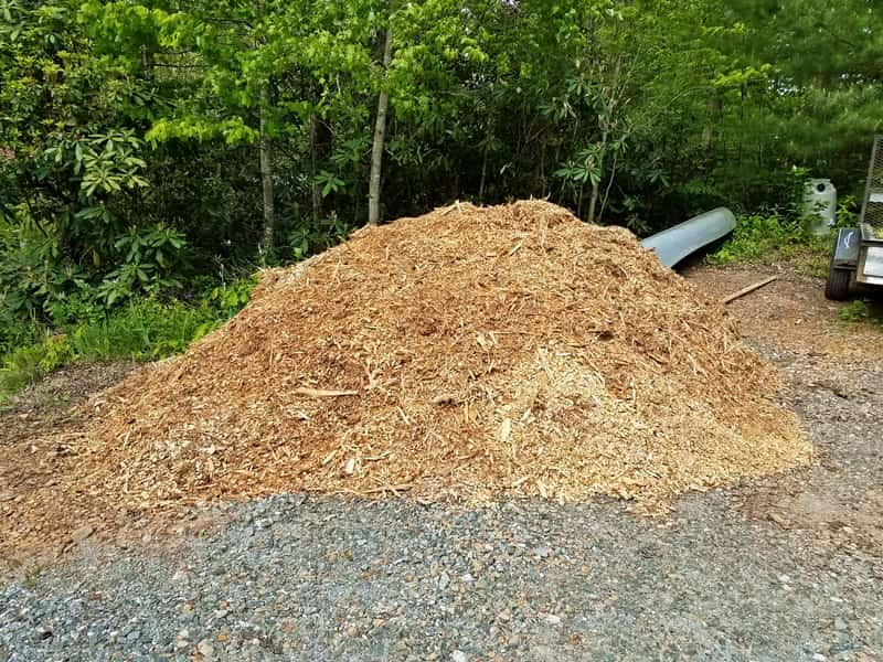 pile of wood chips