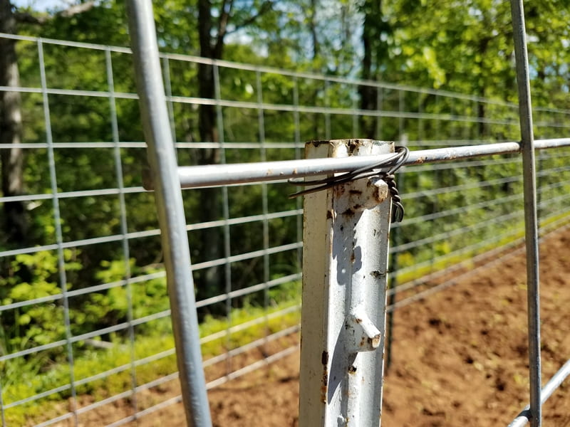 steel cattle panels