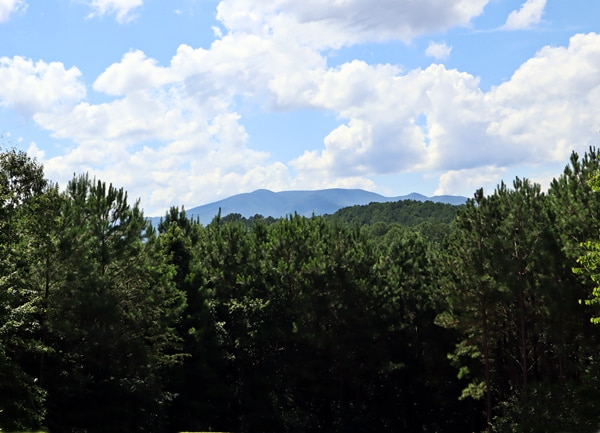 Appalachian Mountain View