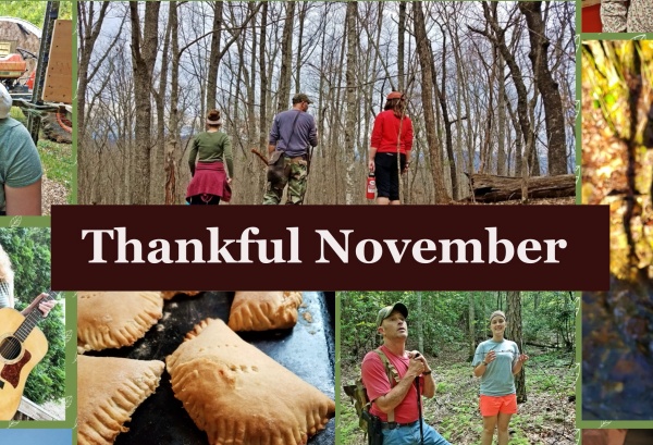 thankful announcement