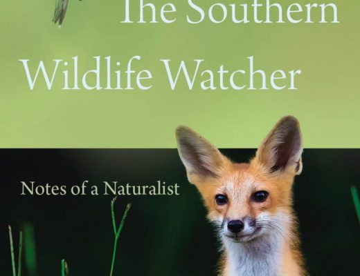 Southern Wildlife Watcher