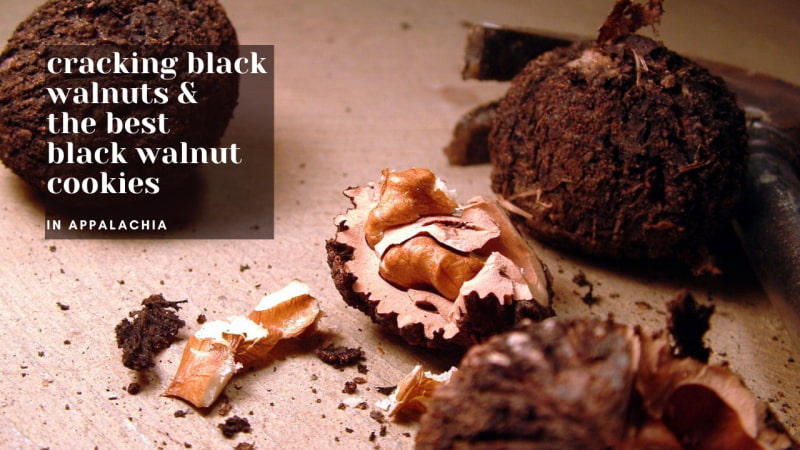 using black walnuts