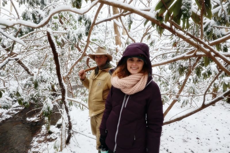 snowy walk