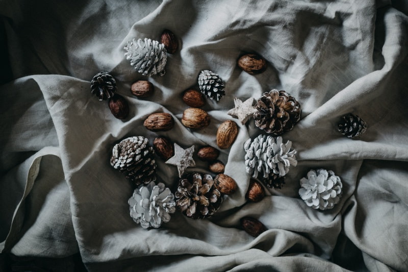 pinecones and hickory nuts