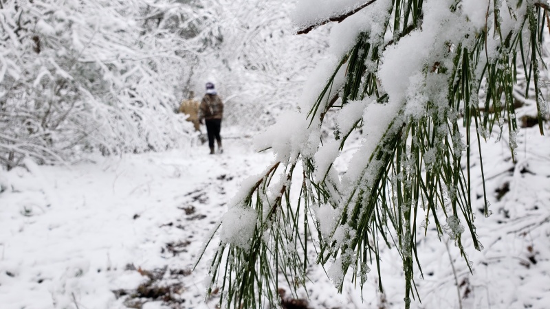 a white Christmas scene