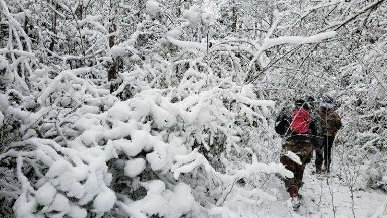 a snowy hike