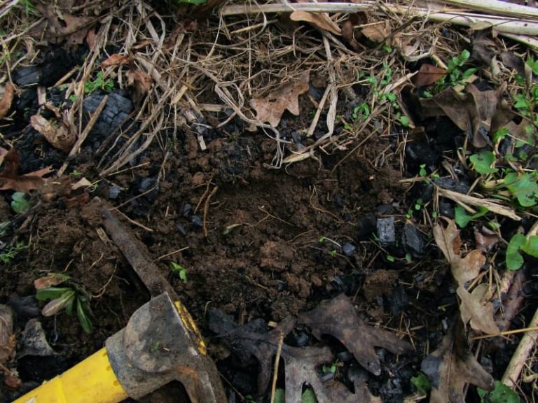 Planting by the Signs April 2021 Blind Pig and The Acorn