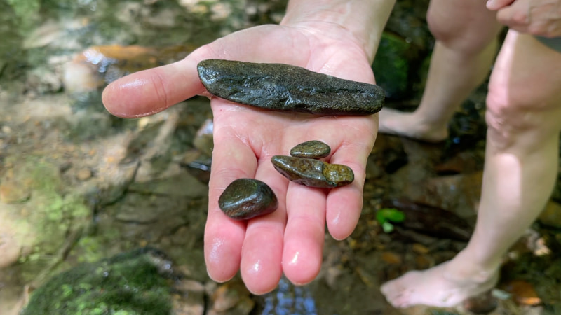 handful of creek rocks