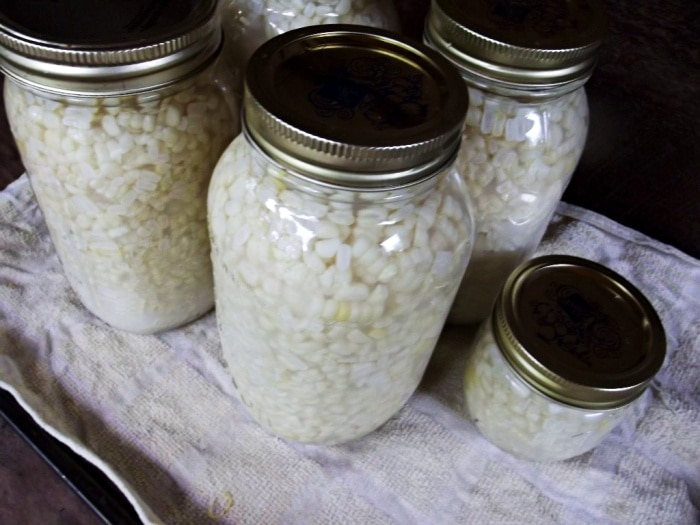 jars of pickled corn