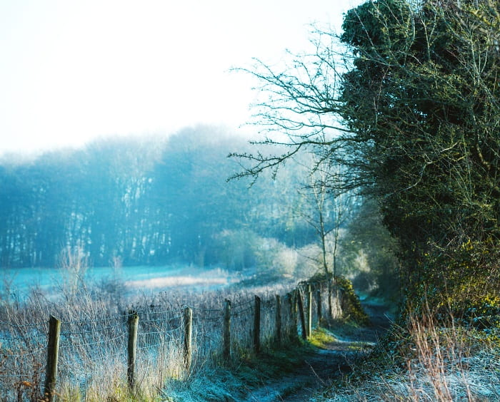 pasture and road