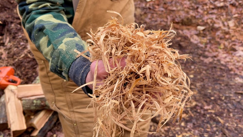 Hand holding wood chips