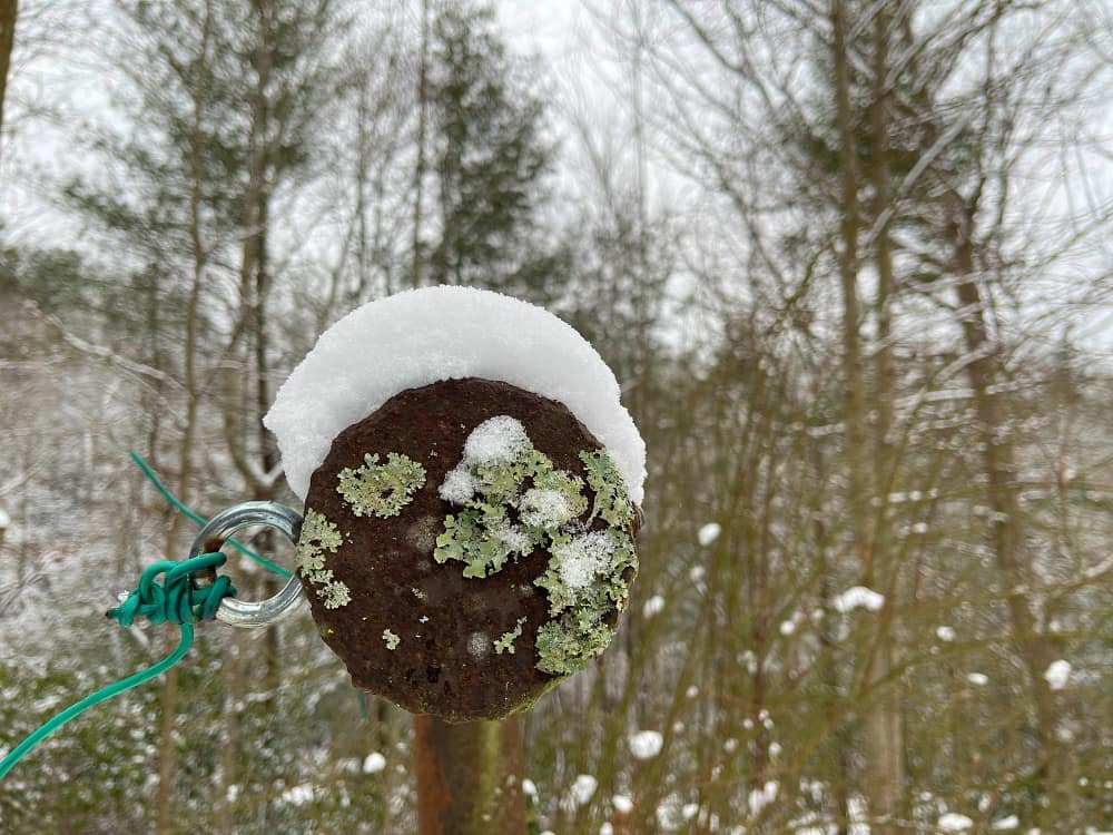 snow on clothesline