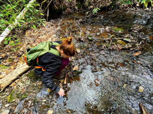 Corie in creek