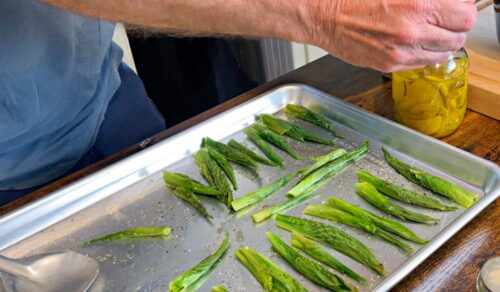 cooked hosta spears on pan