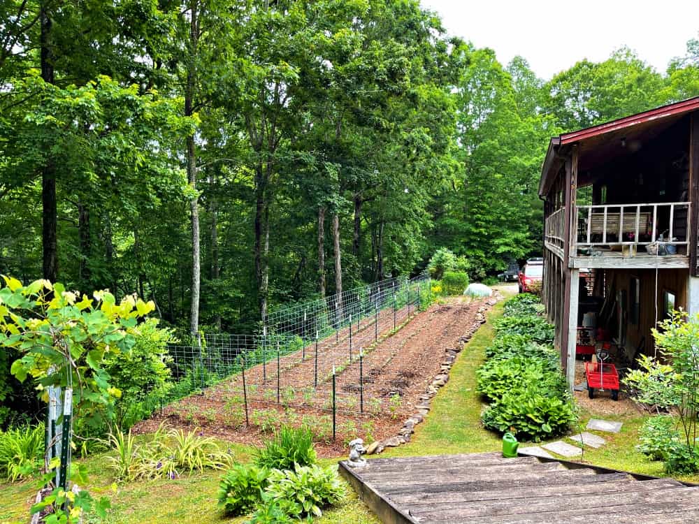 Garden area