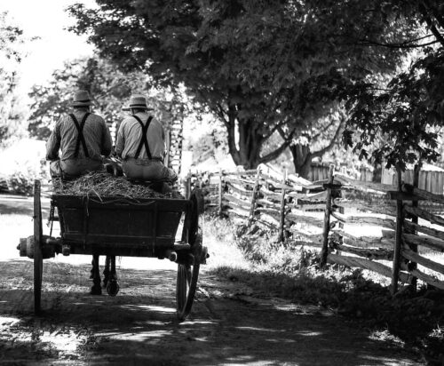 men in wagon wearing galluses