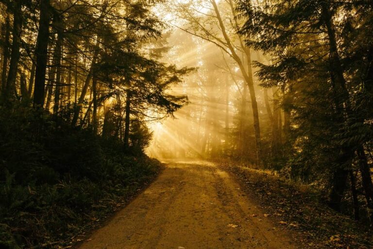 mountain road