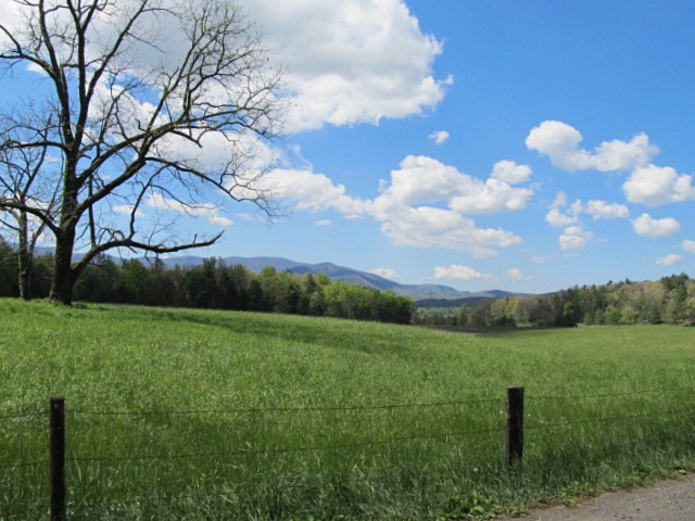 View of Cades Cove Field