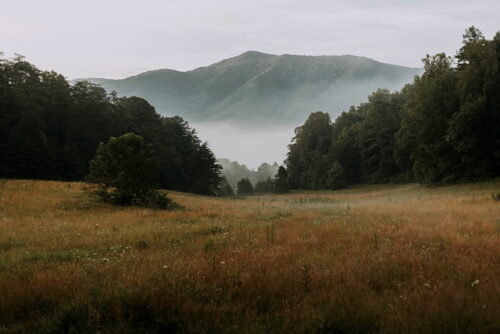 mountains with fog on them