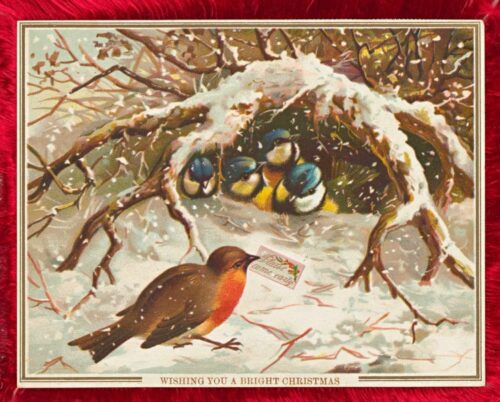 old Christmas postcard with birds
