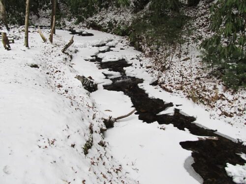 snow covered creek scene